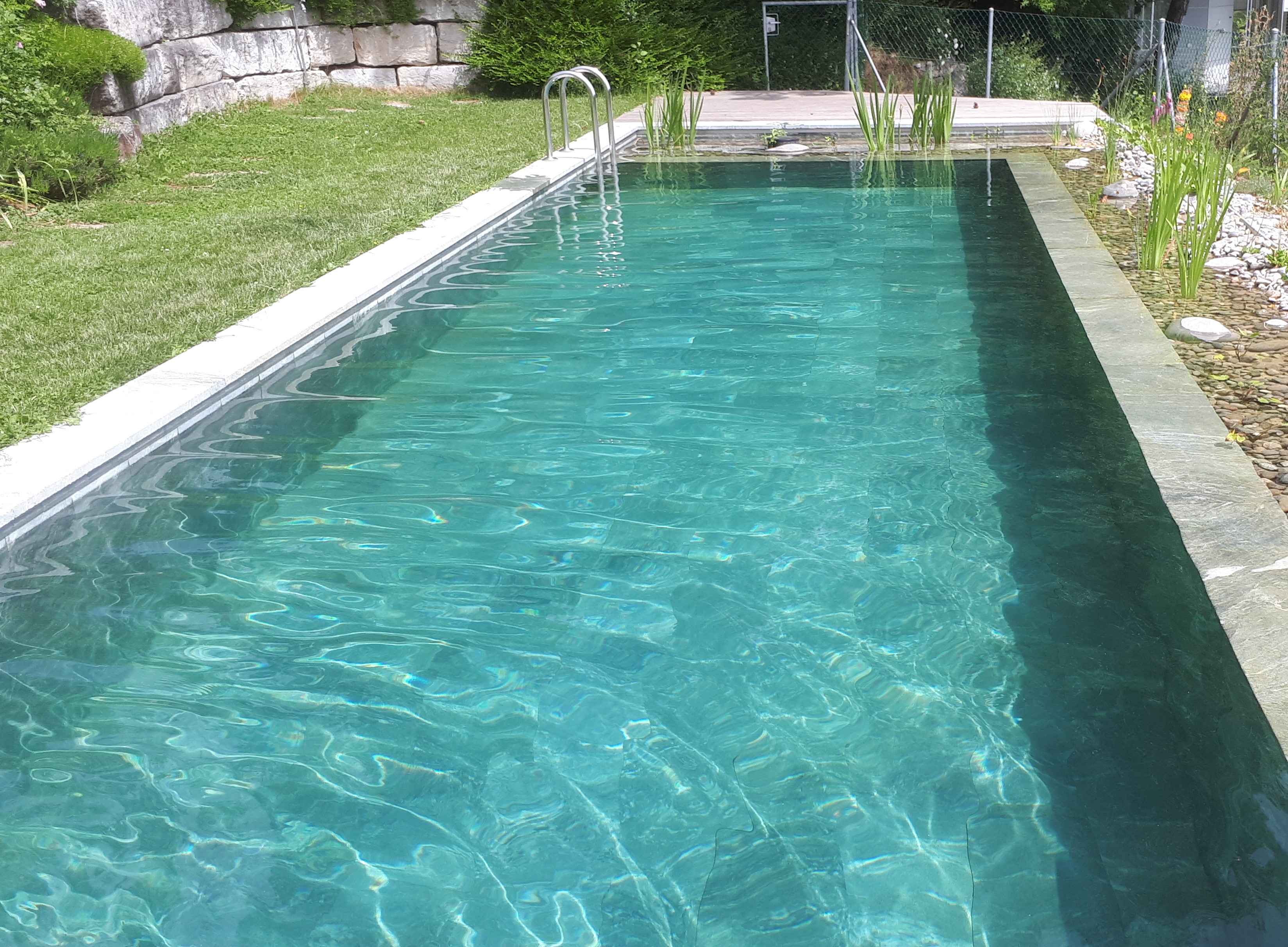 Schwimmteich Skizze